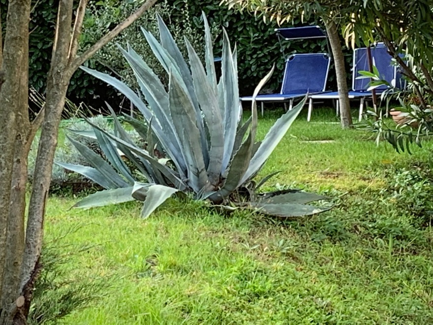 意大利湖畔私人庭院景观设计-12