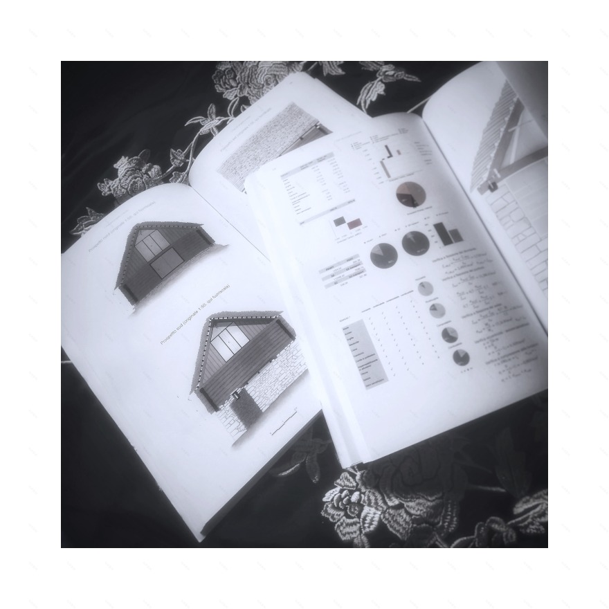 乡村建筑的现代复兴-4