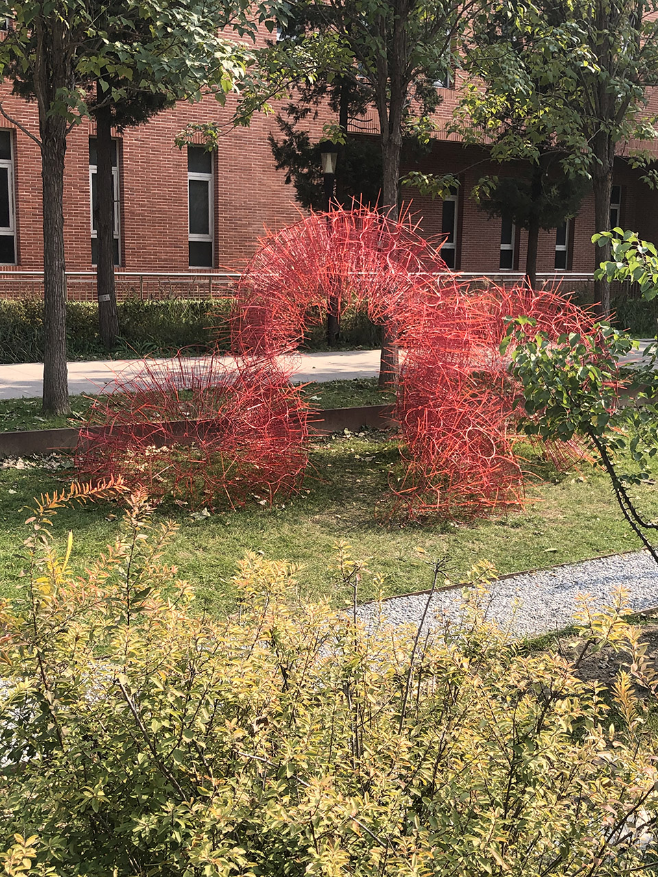 丹岩丨中国北京丨北京林业大学-11