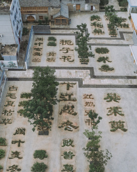 本草园丨中国丽水