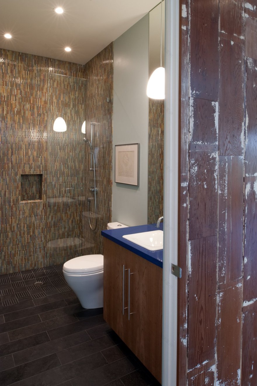 旧金山诺伊谷蝴蝶屋 | 绿色环保的家居设计-5