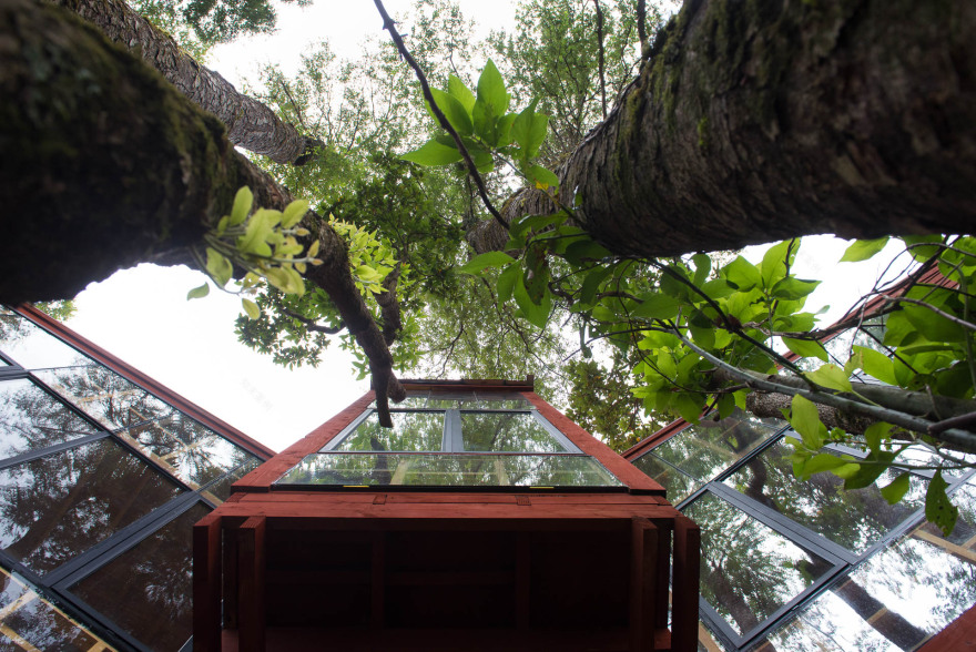 融入森林的日光别墅-24