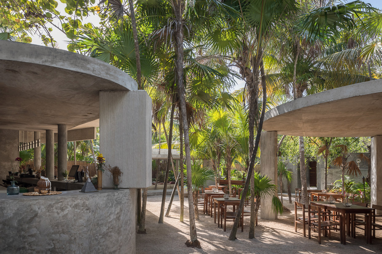 图卢姆Xaman酒吧，墨西哥/从场地中生长出来的混凝土体块-6