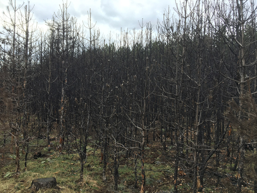 “呼唤希望”沉浸式装置丨奥地利维也纳丨Superflux设计工作室-59