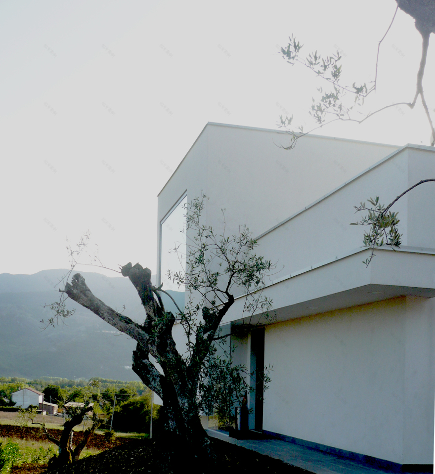 全面融入环境的别墅设计-4