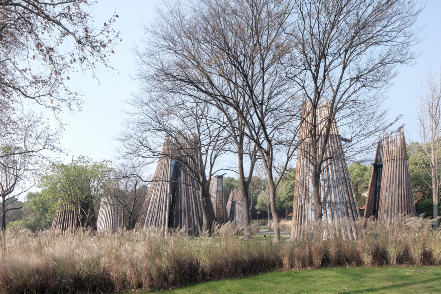 森林中的森林——溧阳杨湾游客中心-9