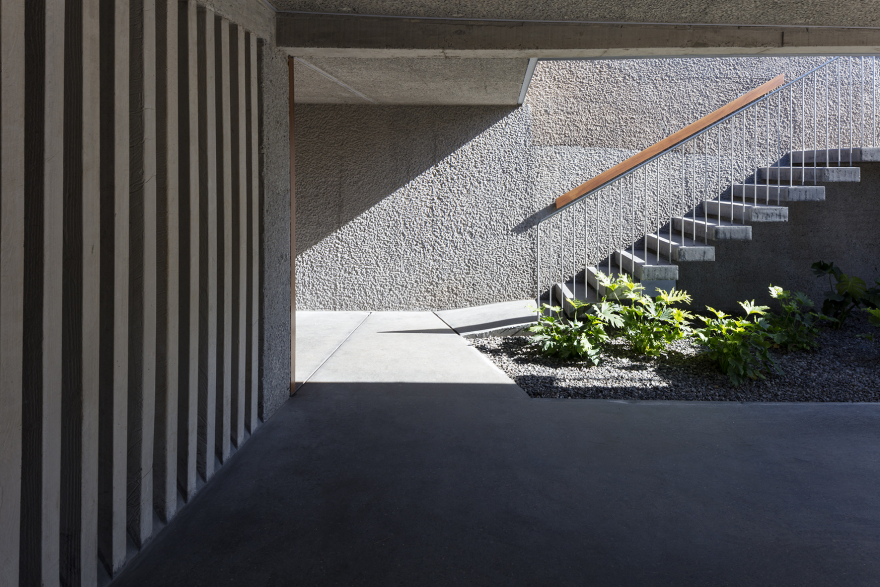 Teide 山下的生态别墅-8