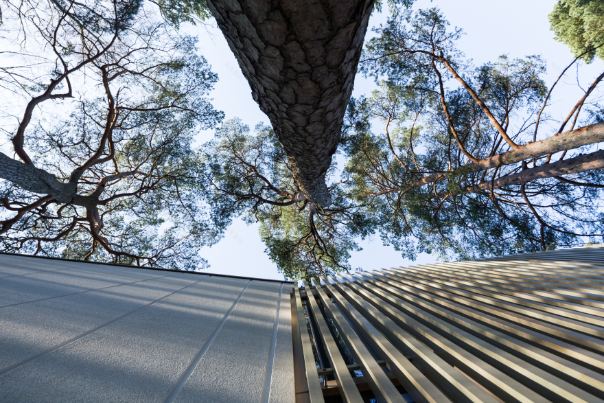 树巢别墅(Nest Villa)-23