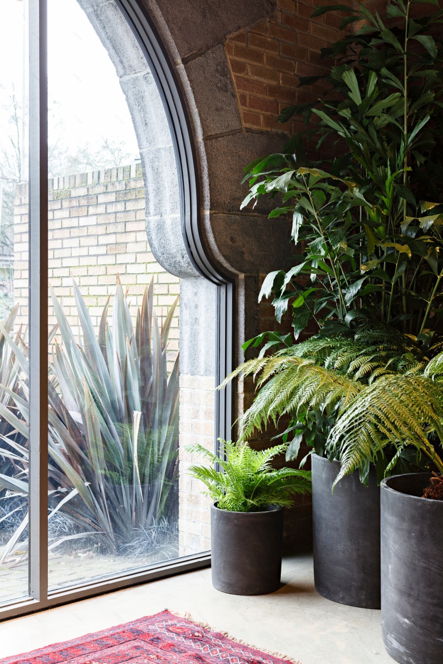 历史建筑中的宁静瑜伽空间-7