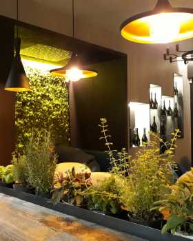 studio canova figini nietsch丨咖啡店丨QB caffè & cucina