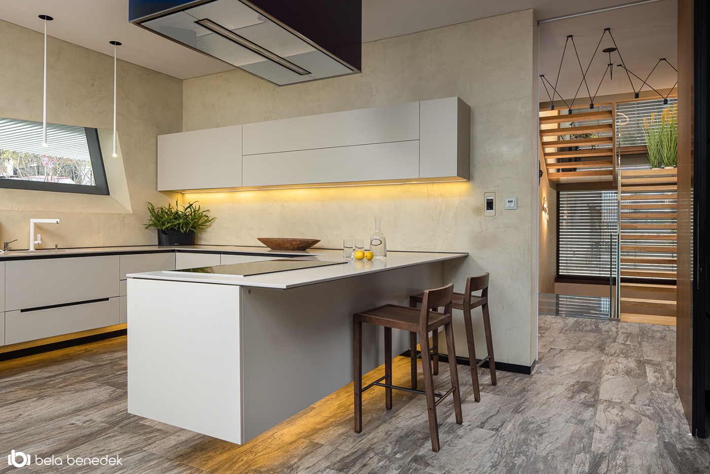 Stefan Vlad丨别墅建筑丨House X-37