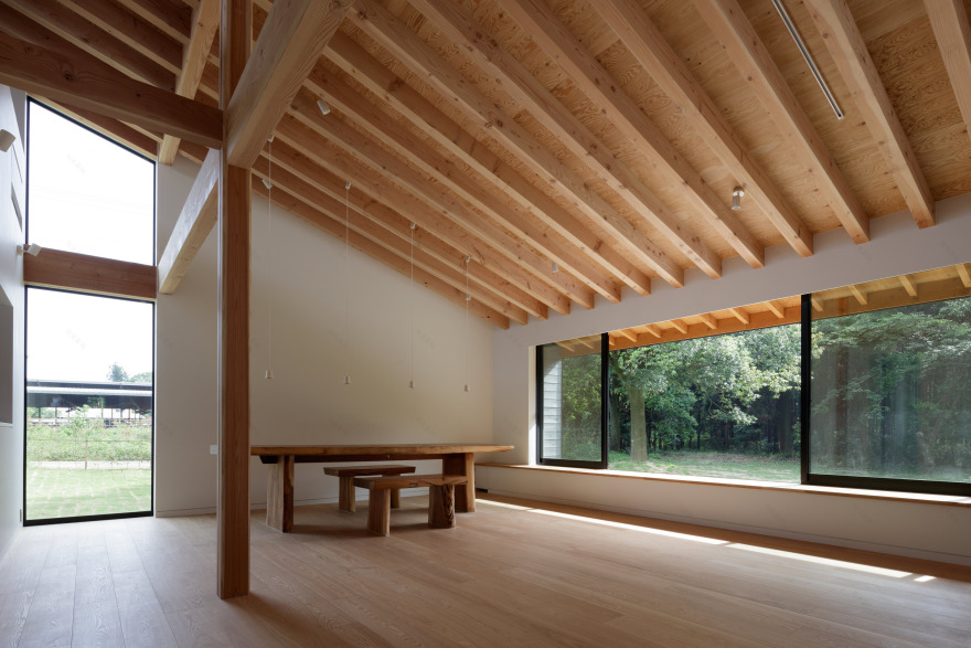 樱花下的周末别墅-36