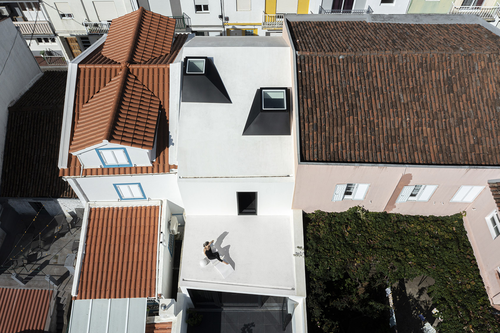 风车住宅，葡萄牙/取景器带来的垂直视角-7
