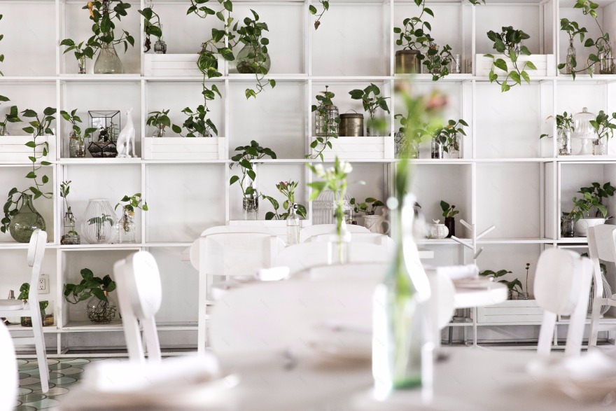 盐城戈蒂洛尼家族美食之旅-39