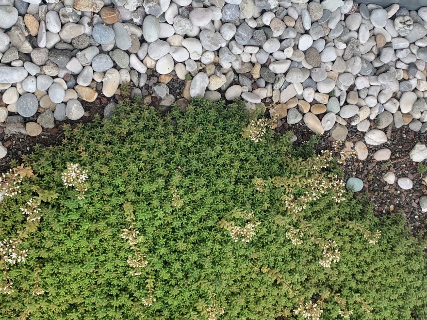 木结构增建,老建筑新生-16