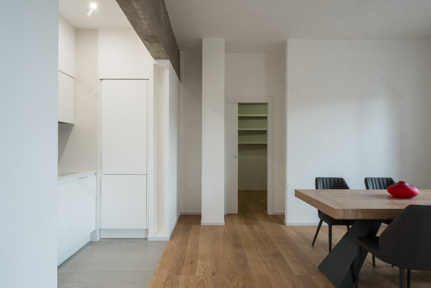 日常生活的真实之美——路易吉的加入-2