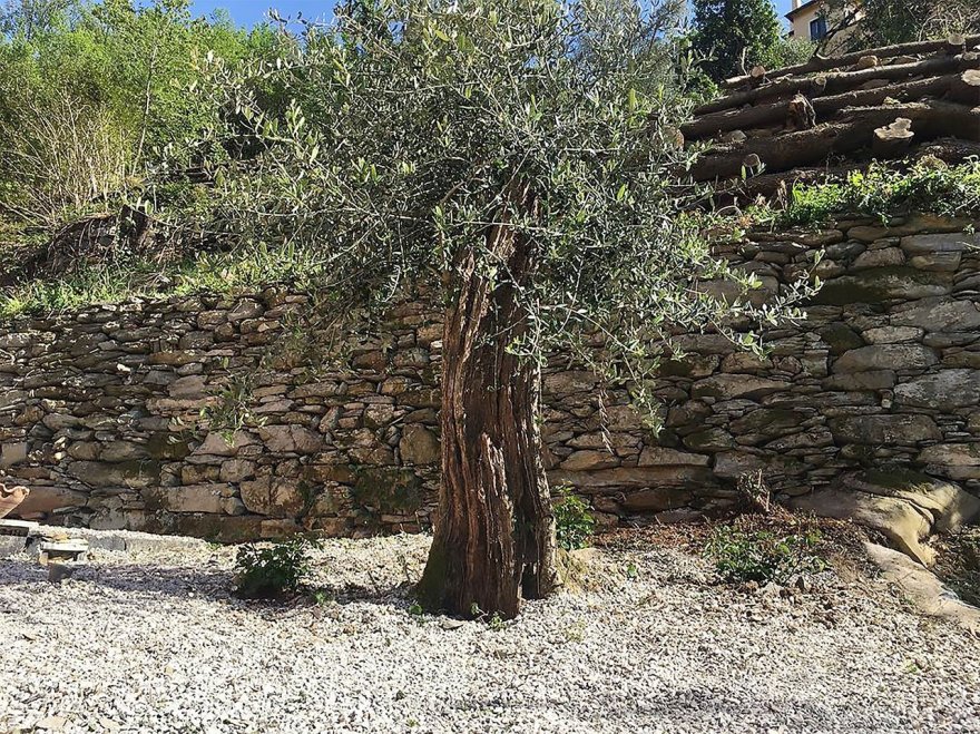 意式简约风的海景度假屋-8
