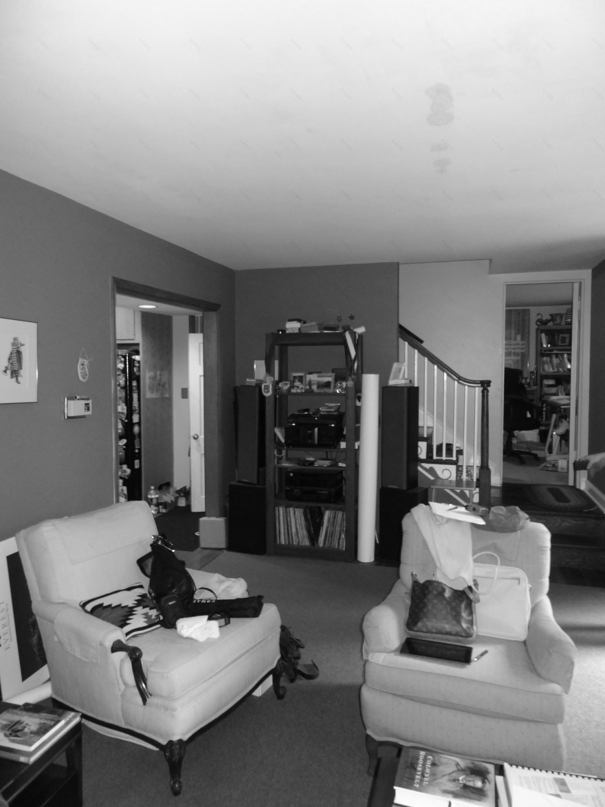 Arlington 老宅新生命,绿色环保现代别墅设计-12