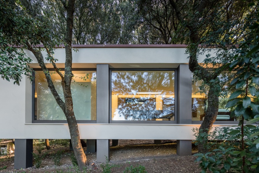 悬浮森林中的别墅-10