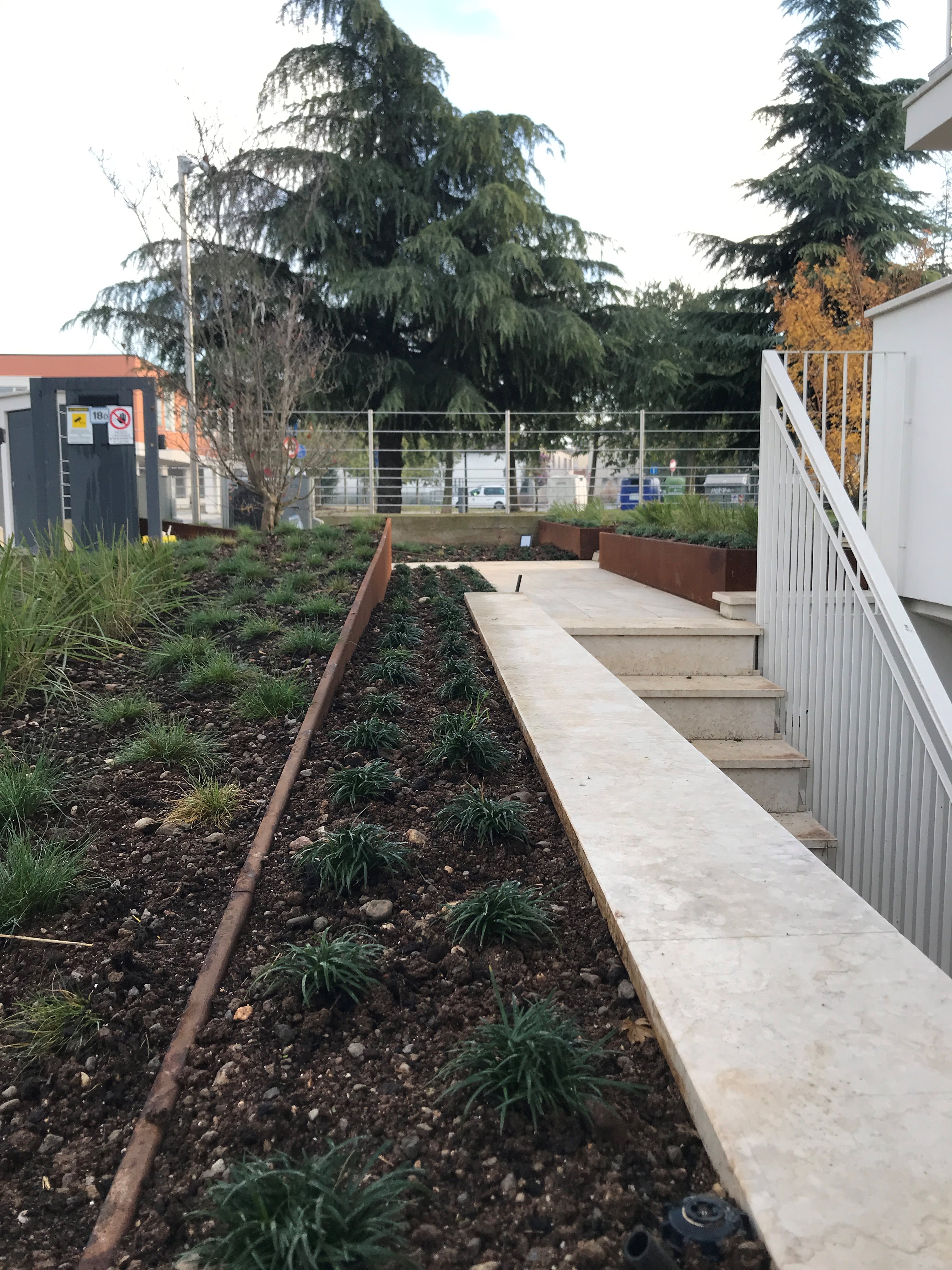 斜坡之上,日式庭院的竹影婆娑-3