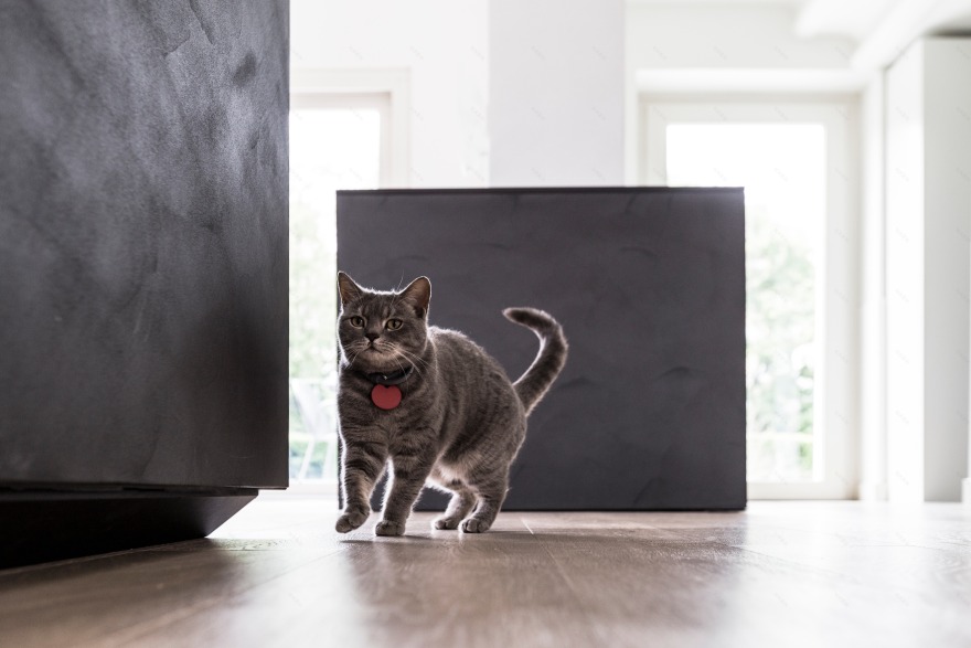 意大利城市别墅的复古与现代融合-14