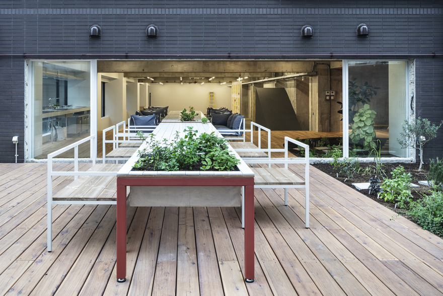 东京槲寄生孵化办公室-6