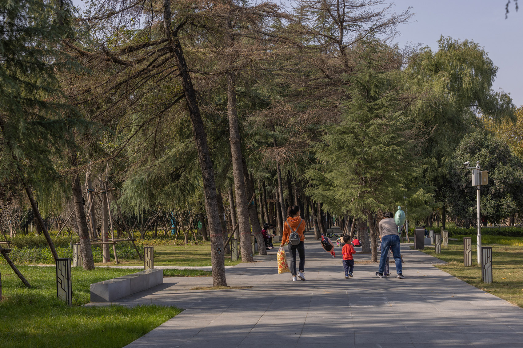 郑州古树苑公园一期景观提升，河南/老树的新生-101