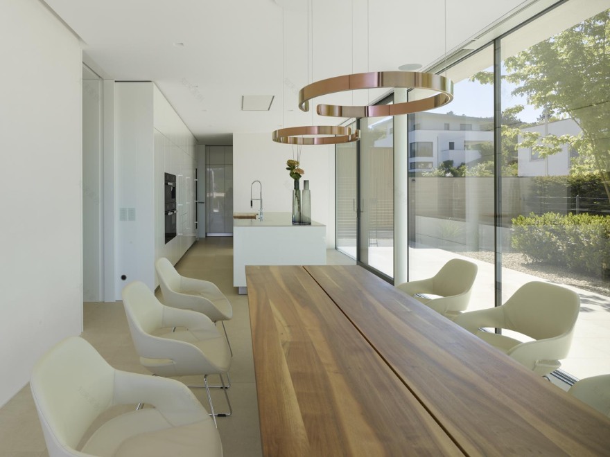 弗兰肯别墅的简约美学与精致景观-4