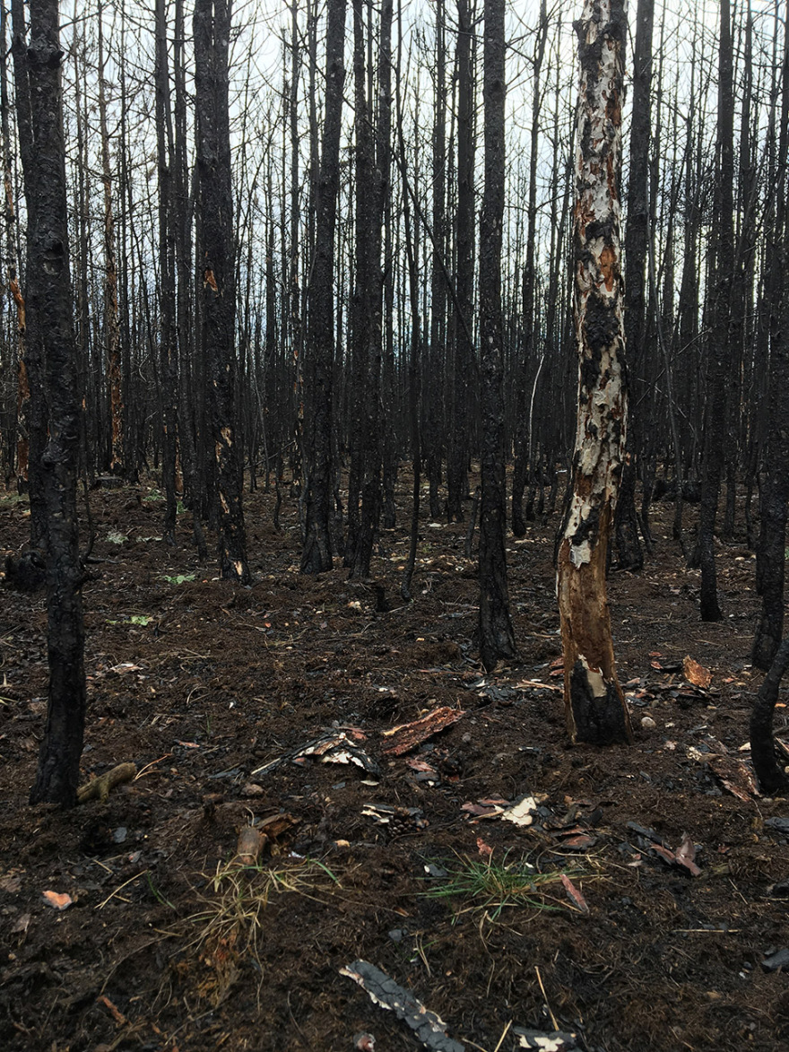 “呼唤希望”沉浸式装置丨奥地利维也纳丨Superflux设计工作室-55
