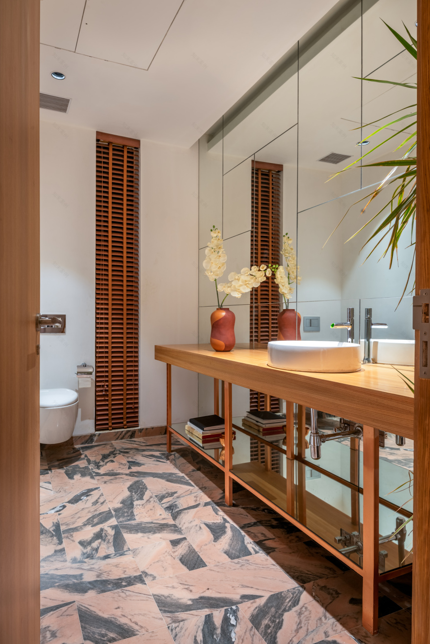 现代别墅融合印度元素,独特设计展现别样风情-5