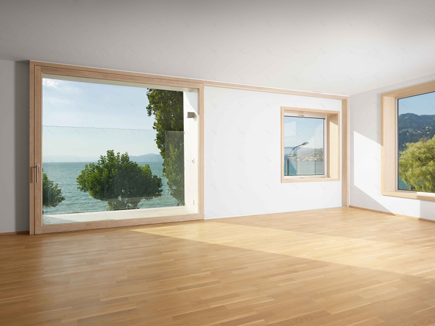 日内瓦湖畔的多功能建筑公寓与餐厅设计-3