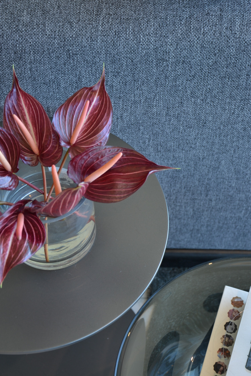 里约科萨 2017-21