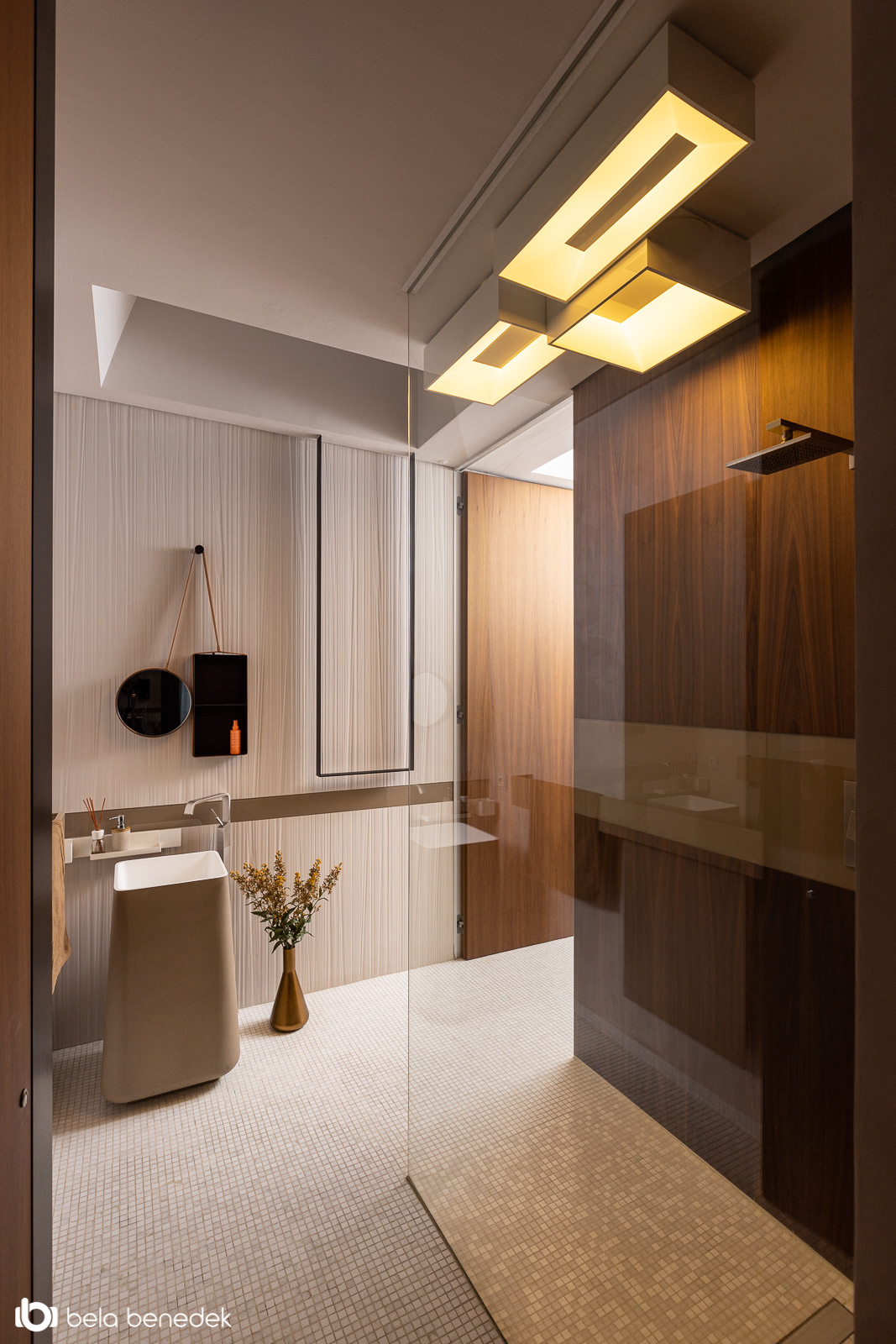 Stefan Vlad丨别墅建筑丨House X-15