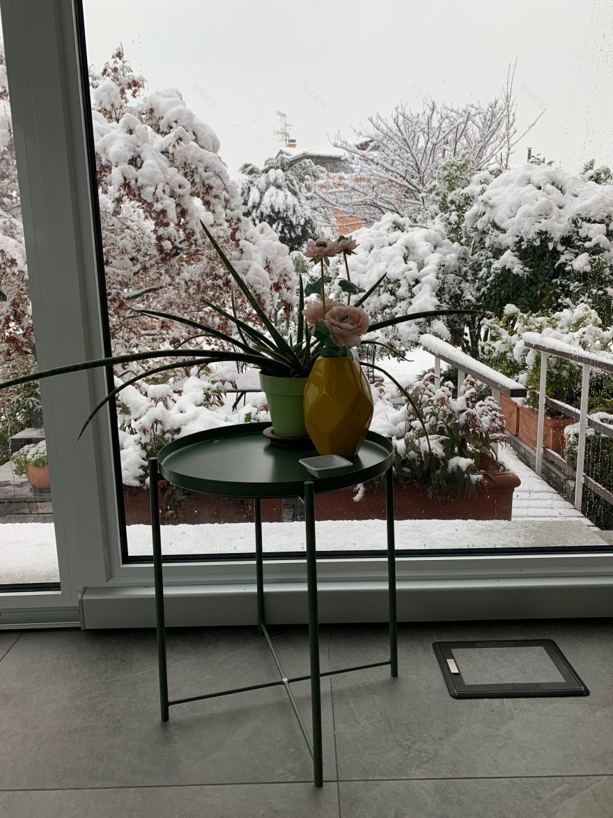 多彩阳光温室式早餐室-17