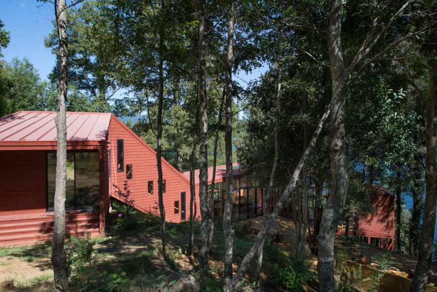 融入森林的日光别墅-28