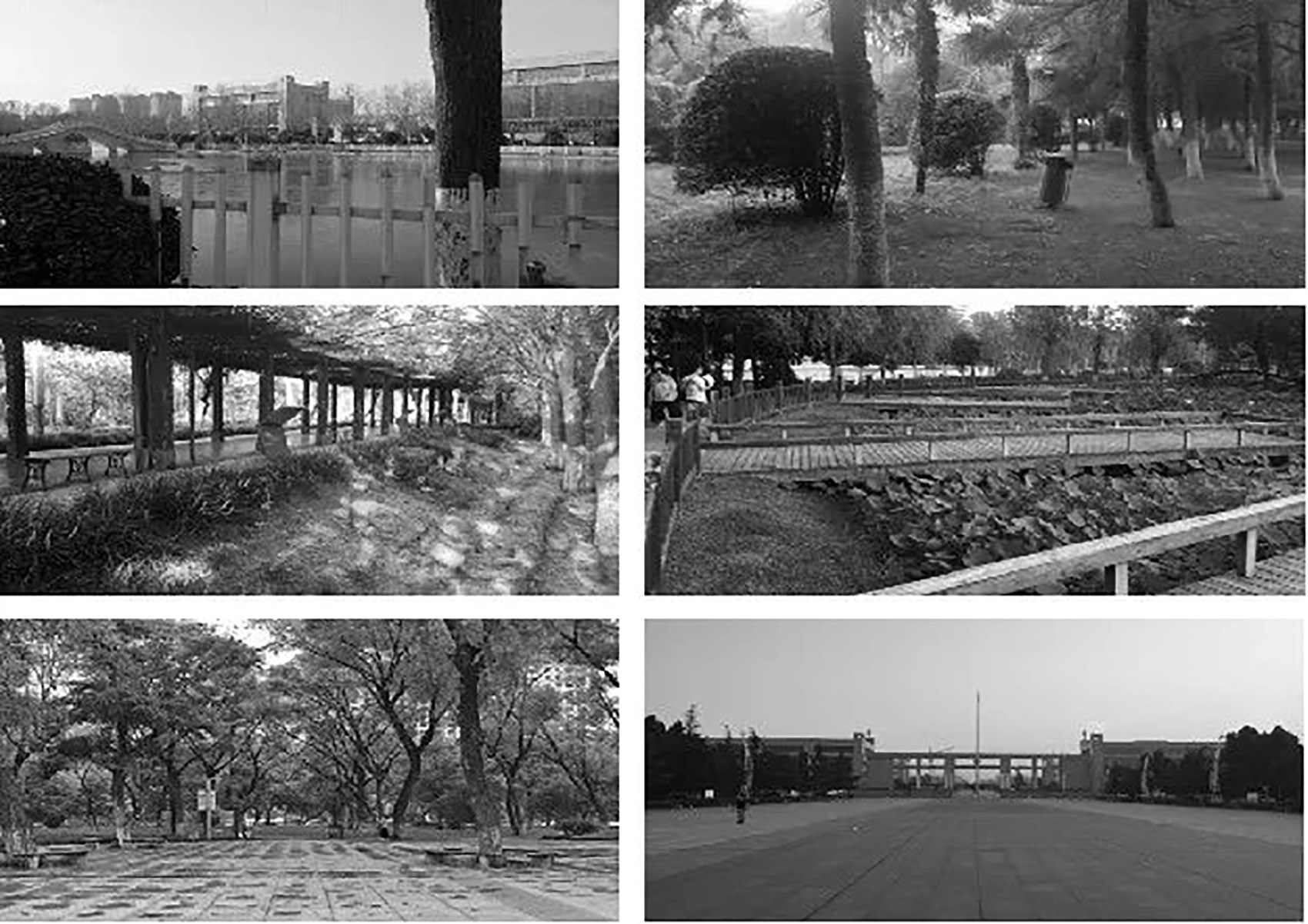郑州古树苑公园一期景观提升，河南/老树的新生-106