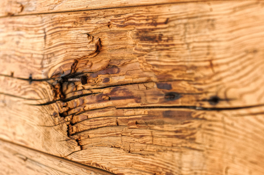 融合传统与现代的德国乡村酒店设计-9