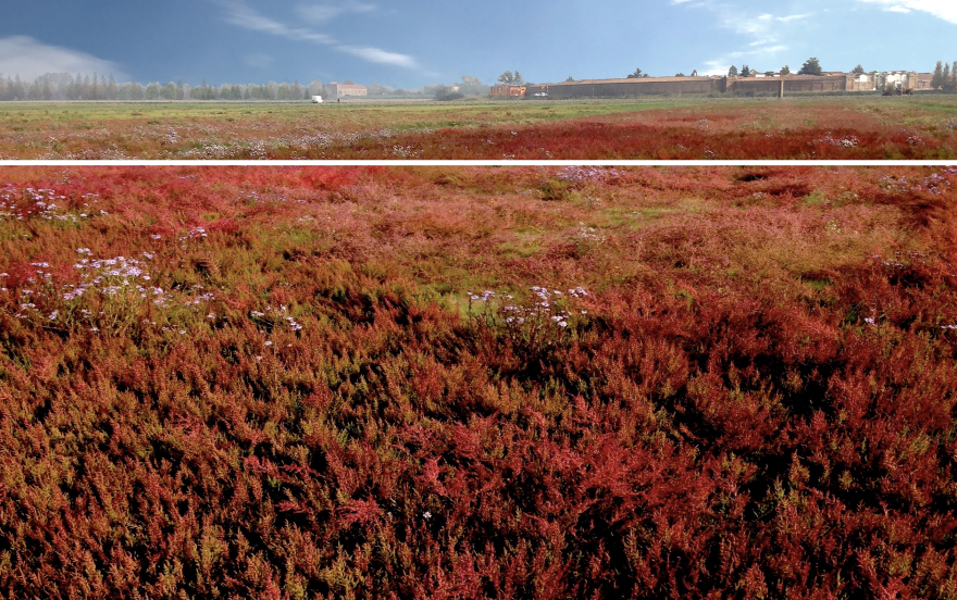 意式风情陵园扩建-1