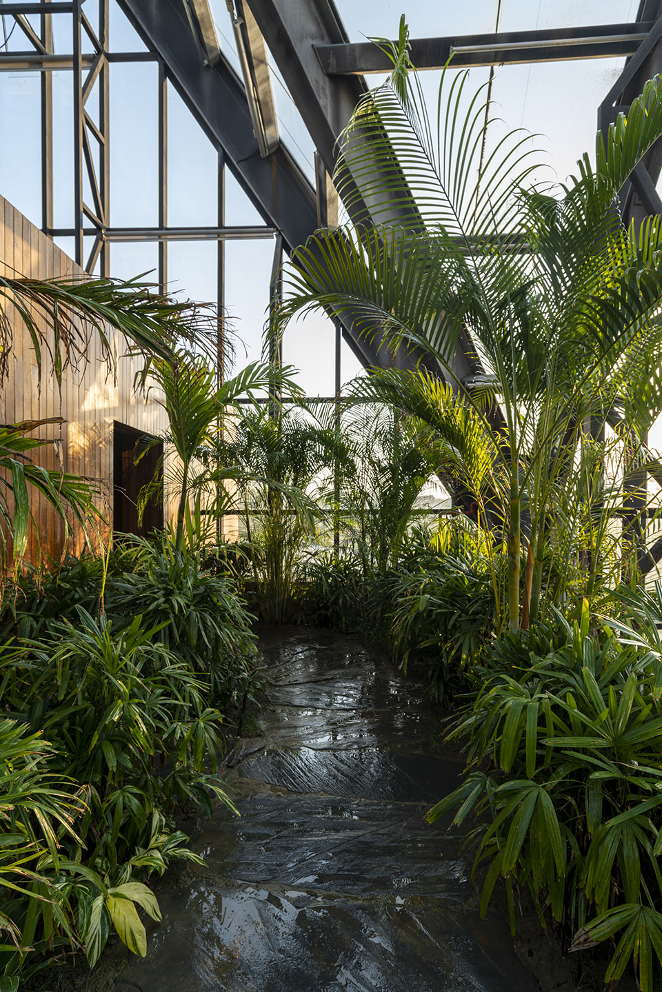 衡水植物园温室展览馆丨中国河北丨空格建筑-58