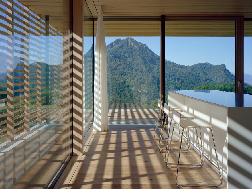 奥地利 Dornbirn 山间别墅-3