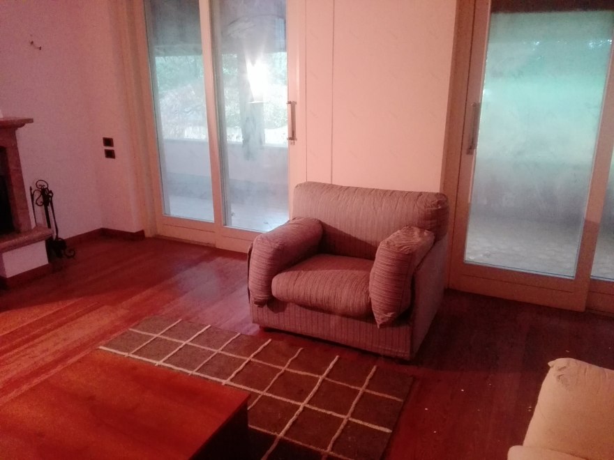 阿尔卑斯山景别墅的现代改造-5