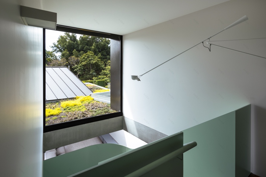 Woollahra Courtyard House 室内设计-6