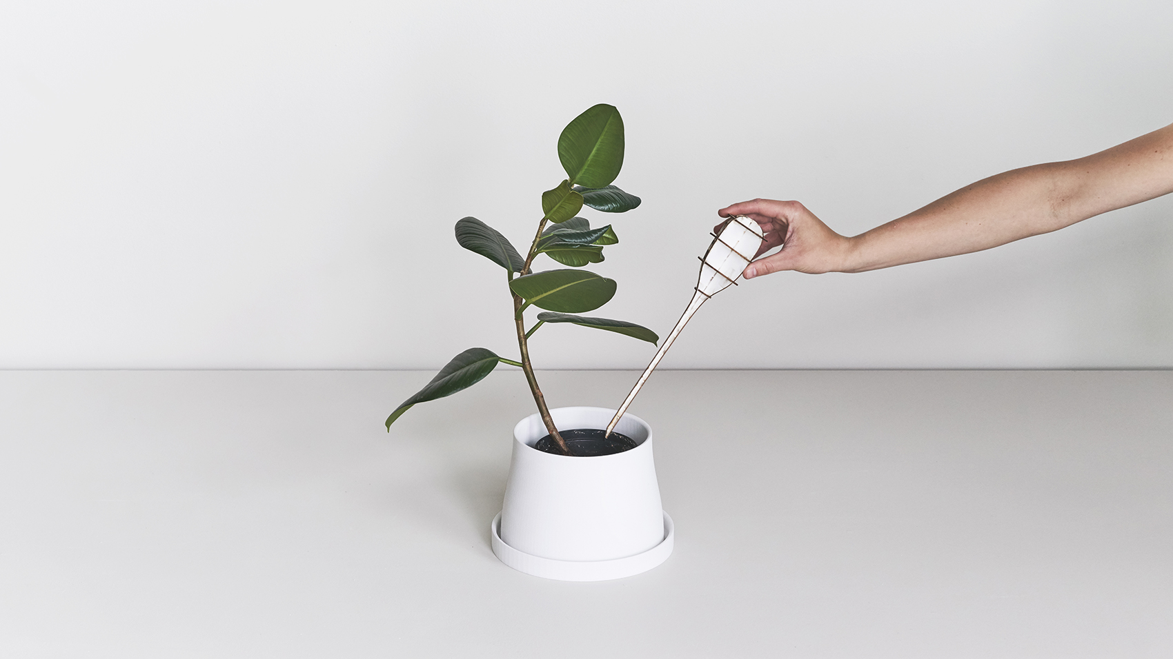 Terra园艺工具系列/创造一个植物世界-50