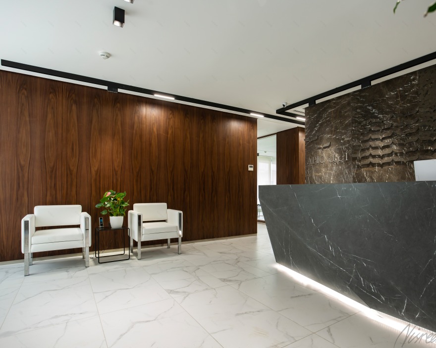 阿拉伯巴勒斯坦投资公司(APIC)-20