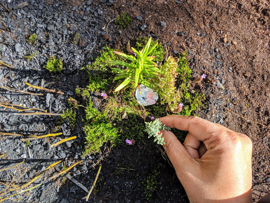 “呼唤希望”沉浸式装置丨奥地利维也纳丨Superflux设计工作室-45