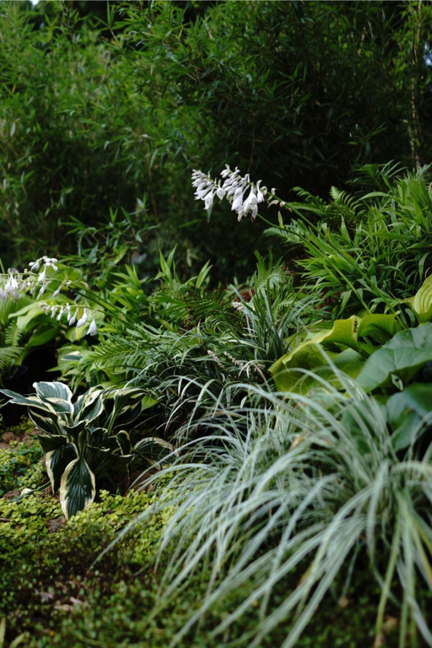野界度假酒店-30