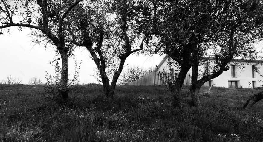 意大利农场改造-35