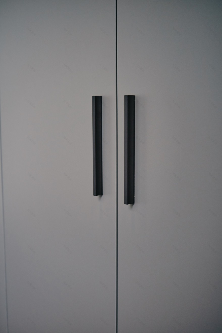 灰色 Raumplus 平开门衣柜 极简设计-3