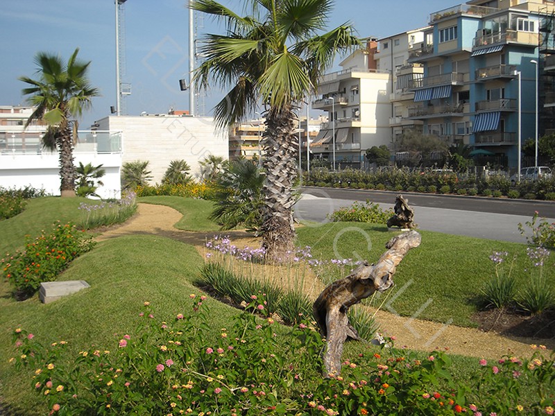 Sistemazione aree piscine Polo Natatorio F.I.N. - Lido di Ostia-2