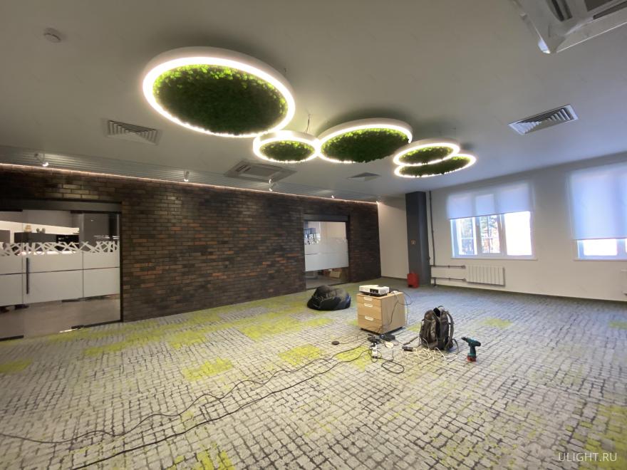 圣彼得堡采石服务公司办公室-11